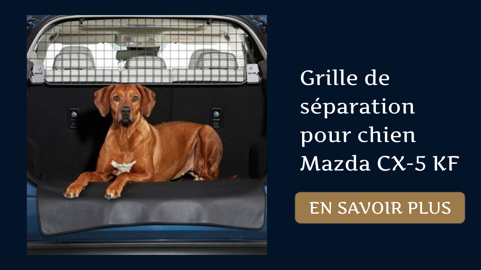 accessoires-mazda_Grille de séparation pour chien Mazda CX-5 KF
